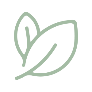 إهداءات المشاريع